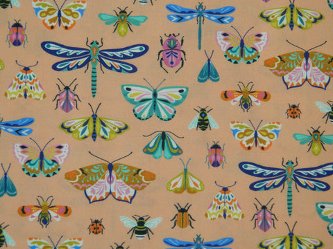 Butterflies 2079 coral background
