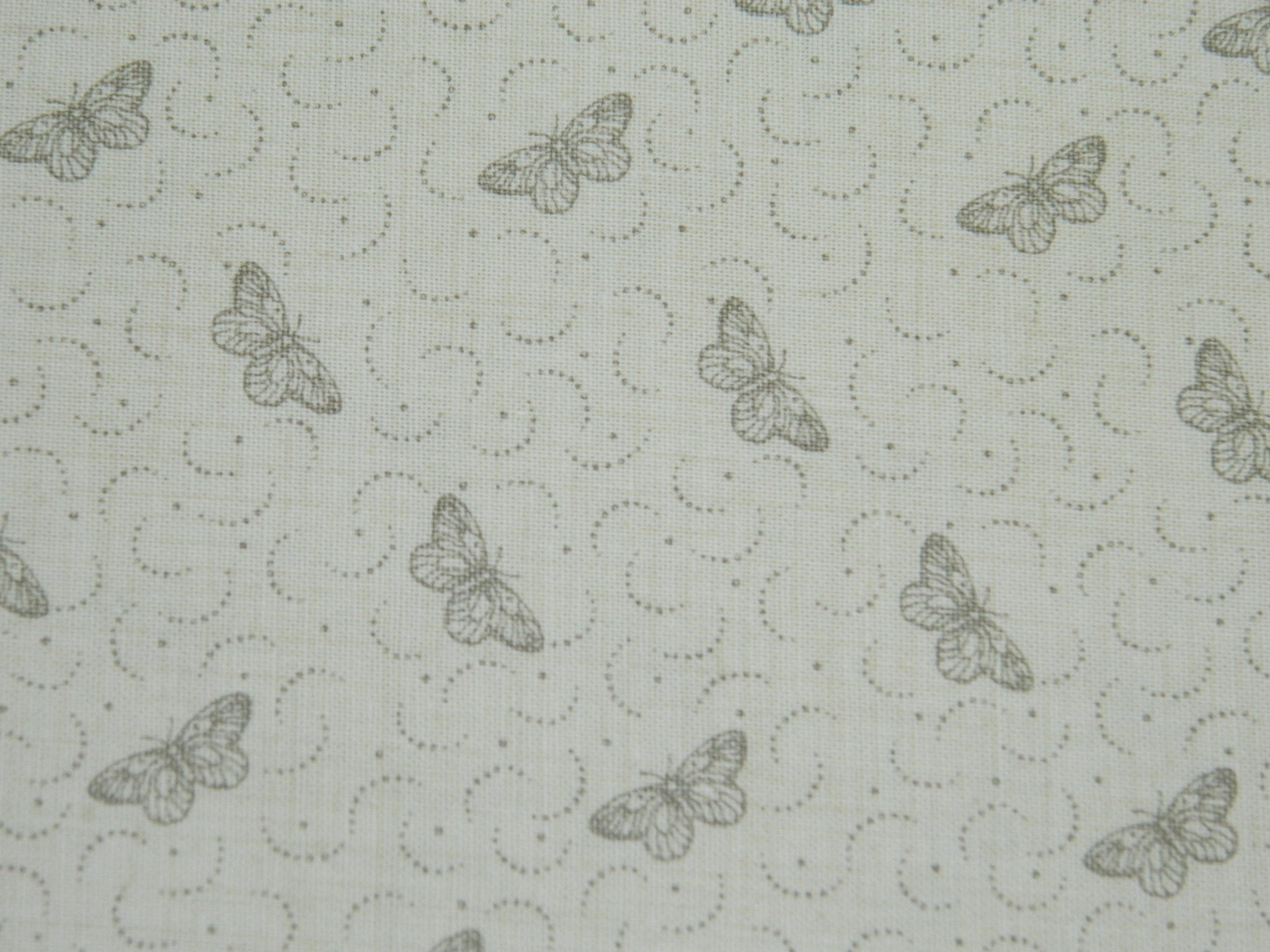 Cream   Antionette Butterfly M13954 18