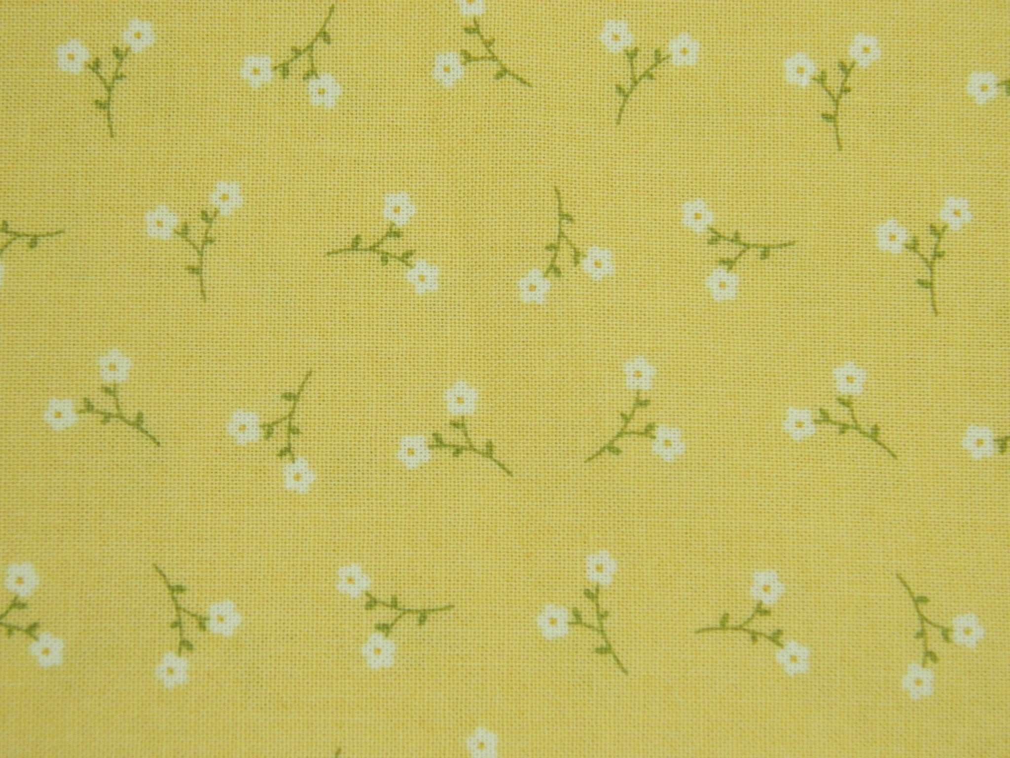 Floral Yellow Dainty Meadow M31749 14