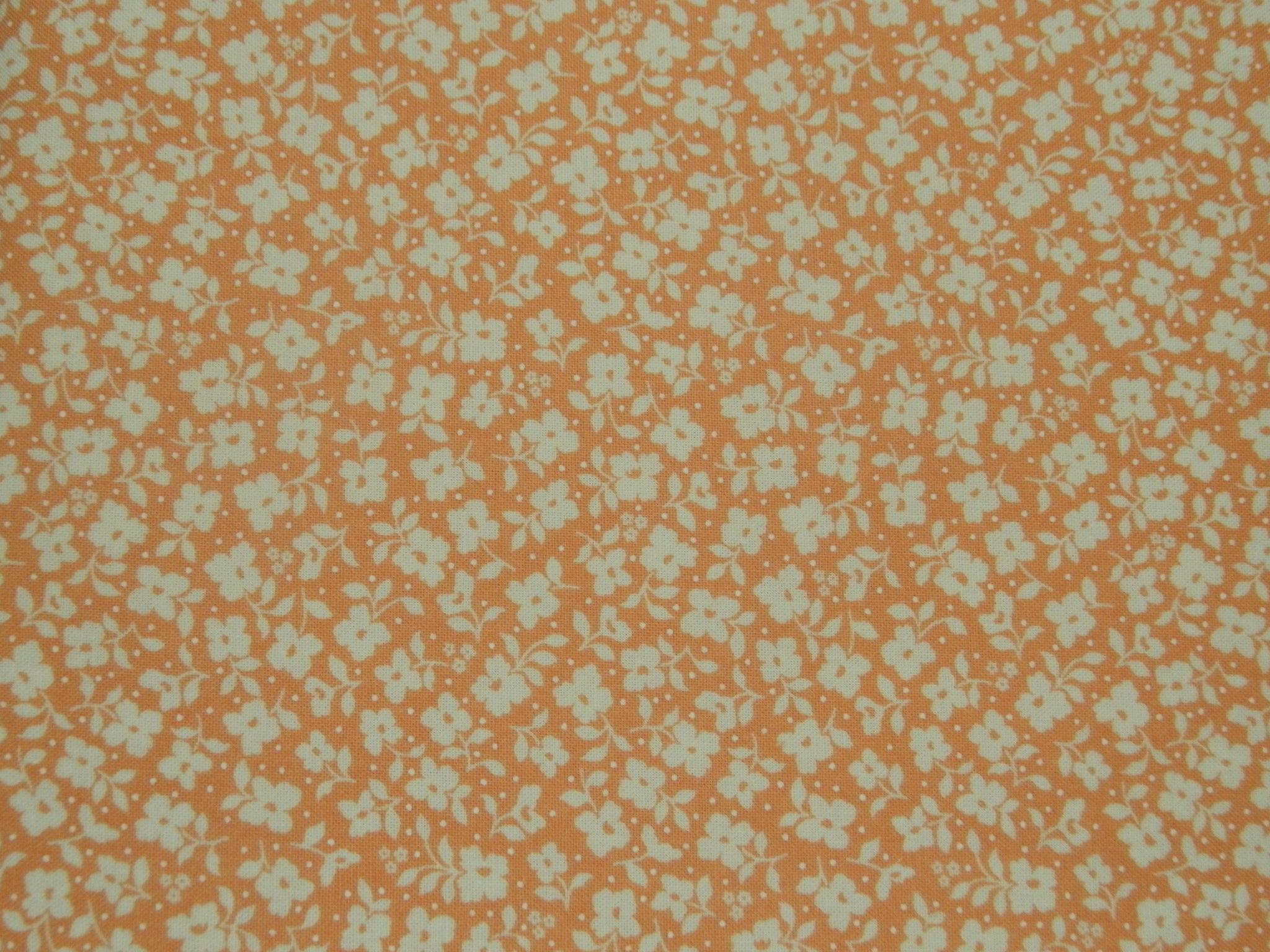 Apricot Dainty Meadow M31745 19