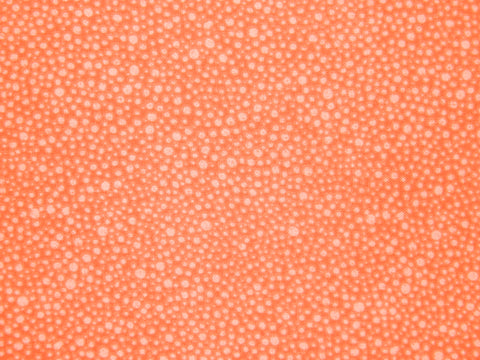 Spots & Dots Red  3224