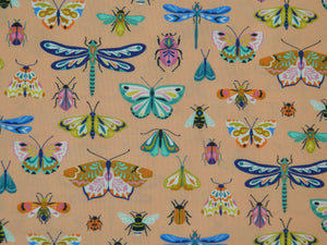 Butterflies 2079 coral background